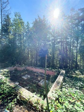 111 N Colony Surf Drive Lilliwaup WA 98555