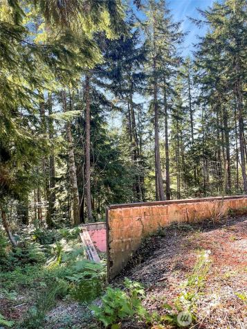 111 N Colony Surf Drive Lilliwaup WA 98555