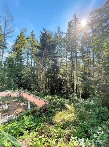 111 N Colony Surf Drive Lilliwaup WA 98555