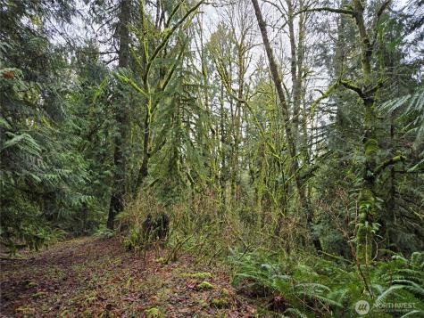 184 123rd (Central Lot) Avenue NE Arlington WA 98223
