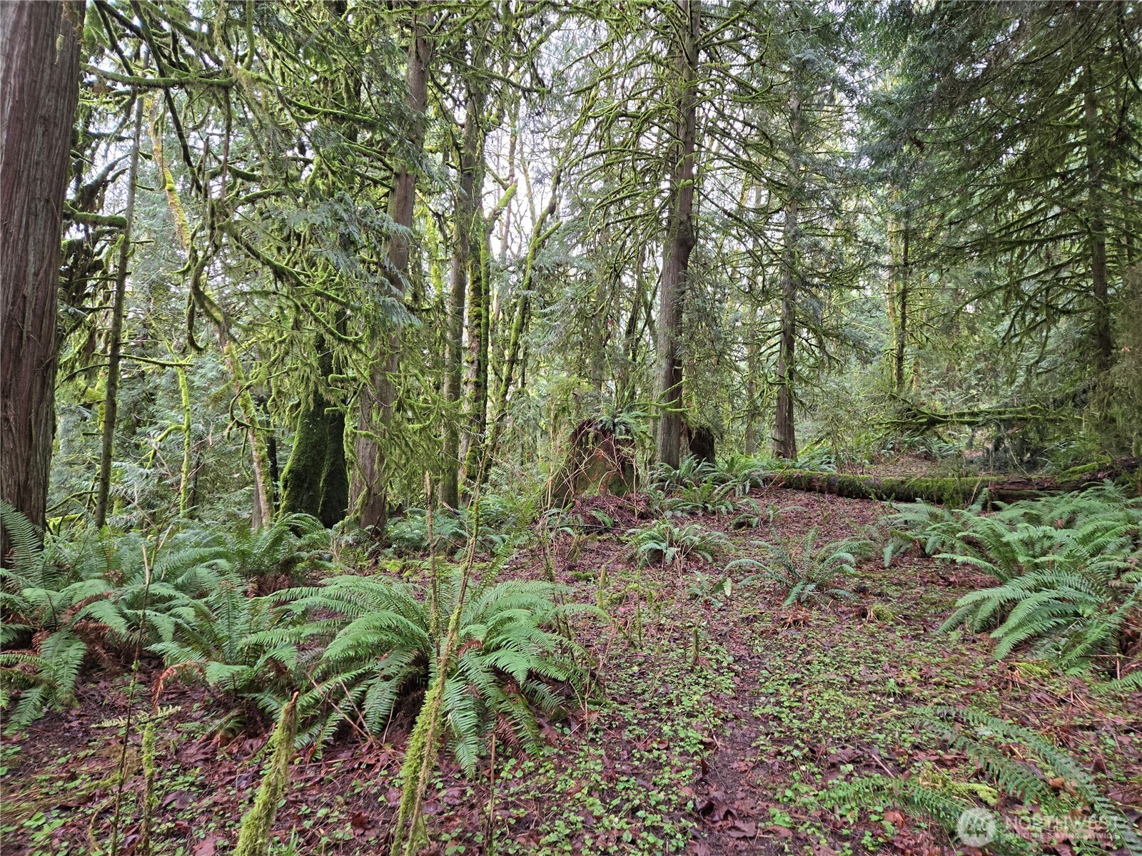184 123rd (Central Lot) Avenue NE Arlington WA 98223