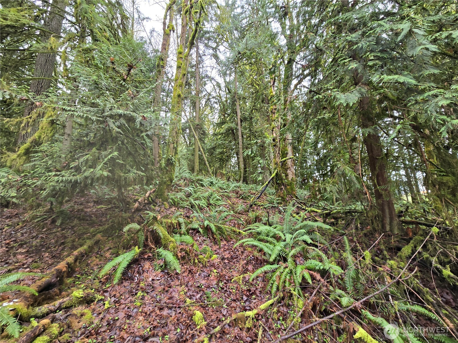 184 123rd (Central Lot) Avenue NE Arlington WA 98223