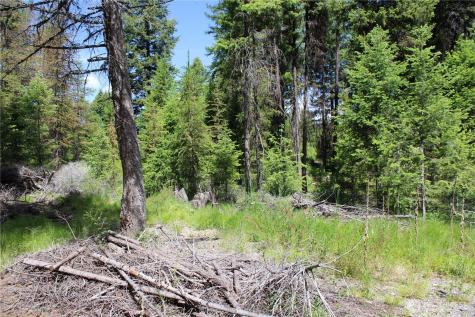 325 Pontiac Ridge Tonasket WA 98855