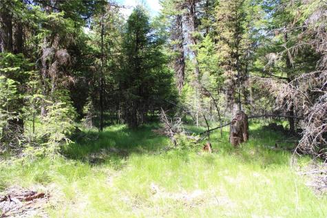 325 Pontiac Ridge Tonasket WA 98855