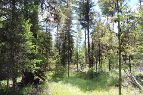 325 Pontiac Ridge Tonasket WA 98855