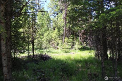 325 Pontiac Ridge Tonasket WA 98855