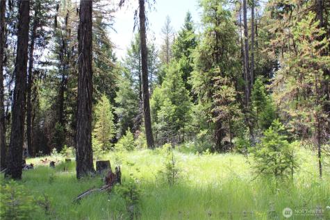 325 Pontiac Ridge Tonasket WA 98855