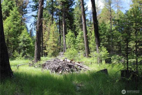 325 Pontiac Ridge Tonasket WA 98855