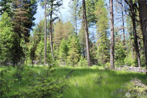 325 Pontiac Ridge Tonasket WA 98855