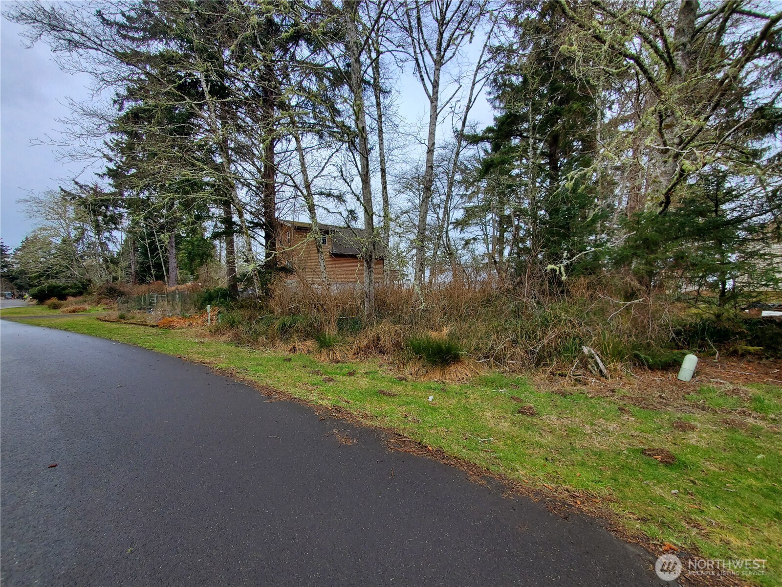 816 Duck Lake Drive NE Ocean Shores WA 98569