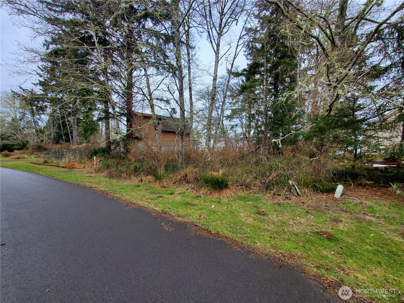 816 Duck Lake Drive NE Ocean Shores WA 98569