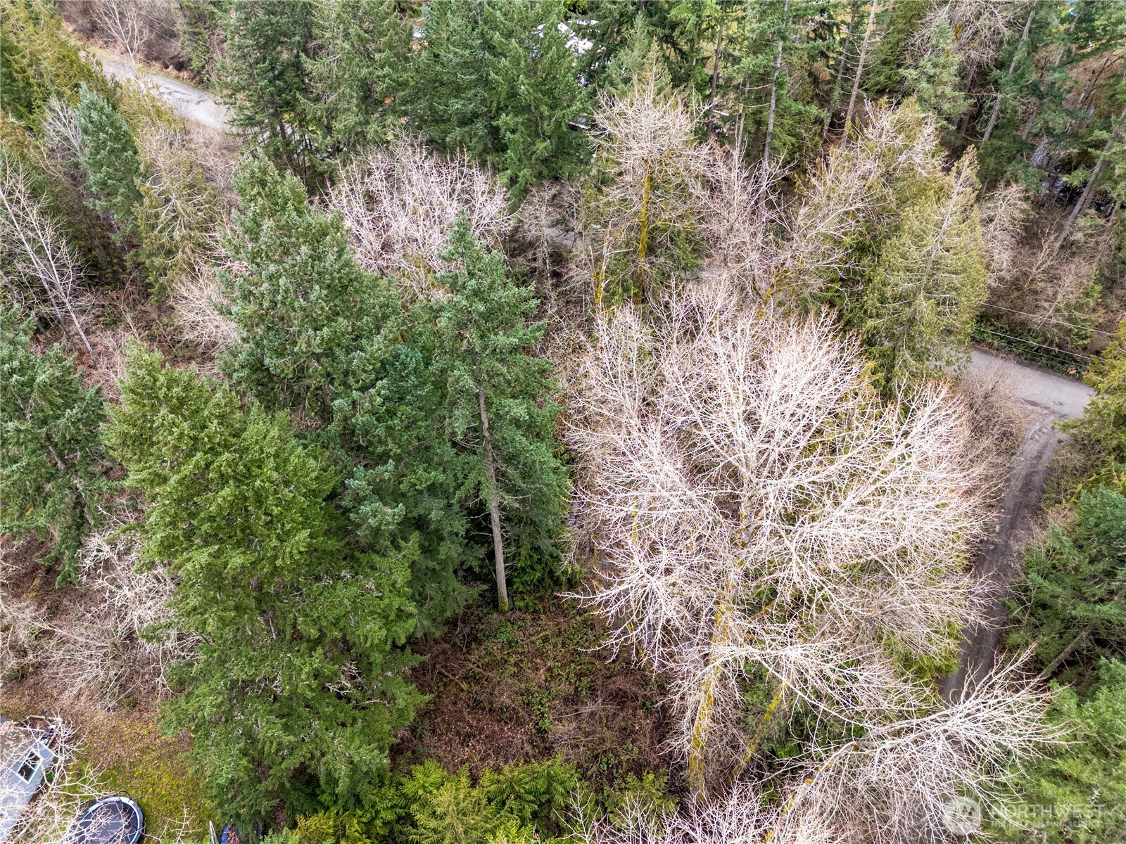 29909 68th Avenue S Roy WA 98580