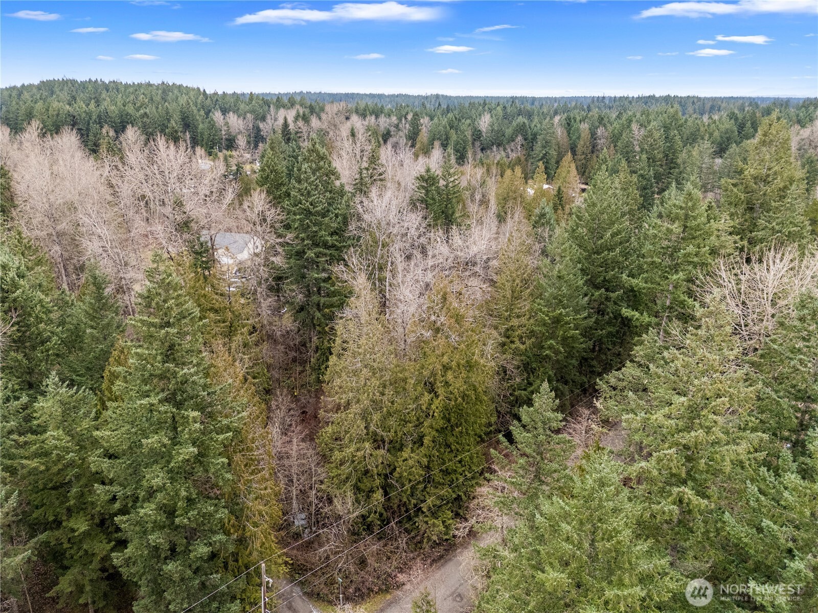 29909 68th Avenue S Roy WA 98580