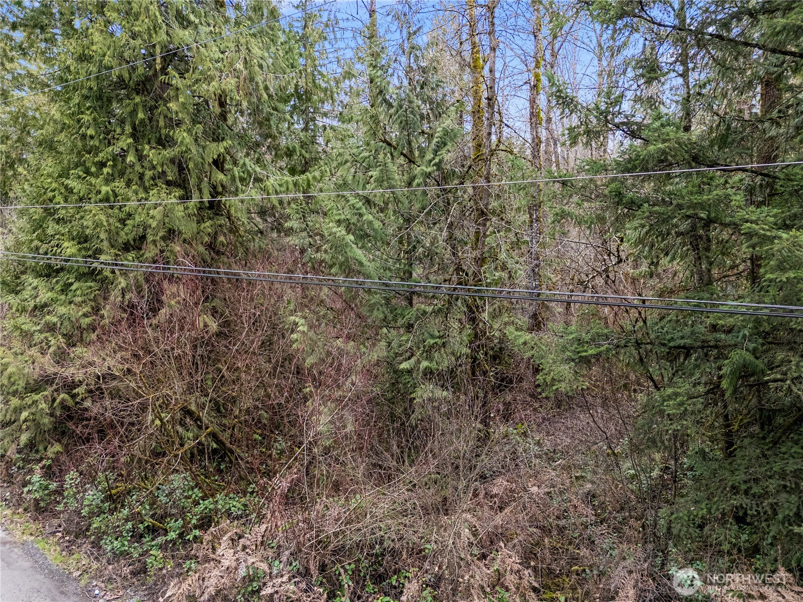29909 68th Avenue S Roy WA 98580