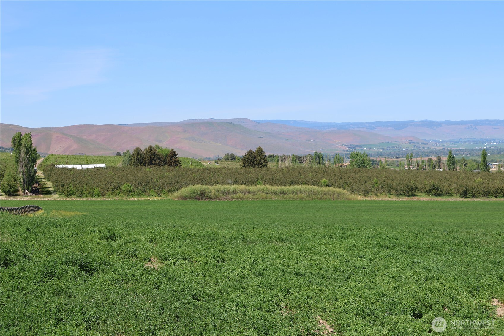 5533 Denmark Road Ellensburg WA 98926