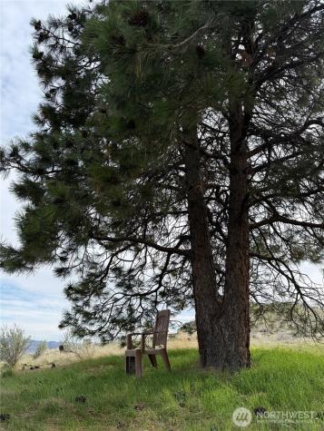 2830 Antoine Creek Road Chelan WA 98816