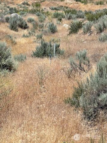 37 Osprey Nest Road Pateros WA 98846