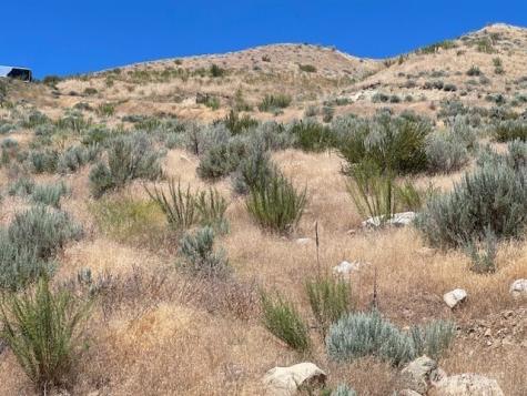 37 Osprey Nest Road Pateros WA 98846