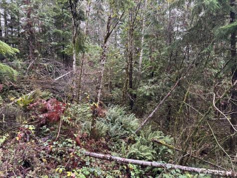 999 N Lake Cushman Drive Hoodsport WA 98548
