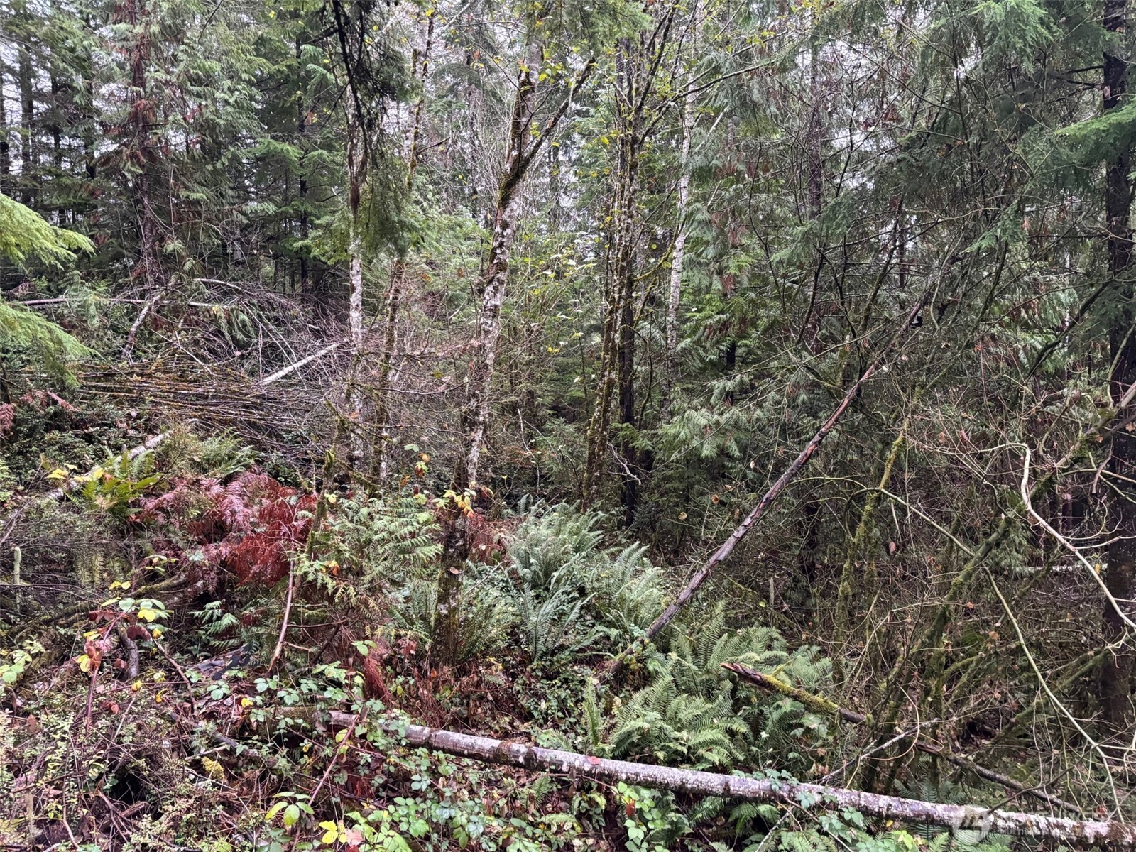 999 N Lake Cushman Drive Hoodsport WA 98548