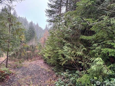 999 N Lake Cushman Drive Hoodsport WA 98548