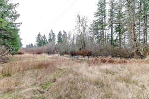 25414 48th Avenue E Graham WA 98338