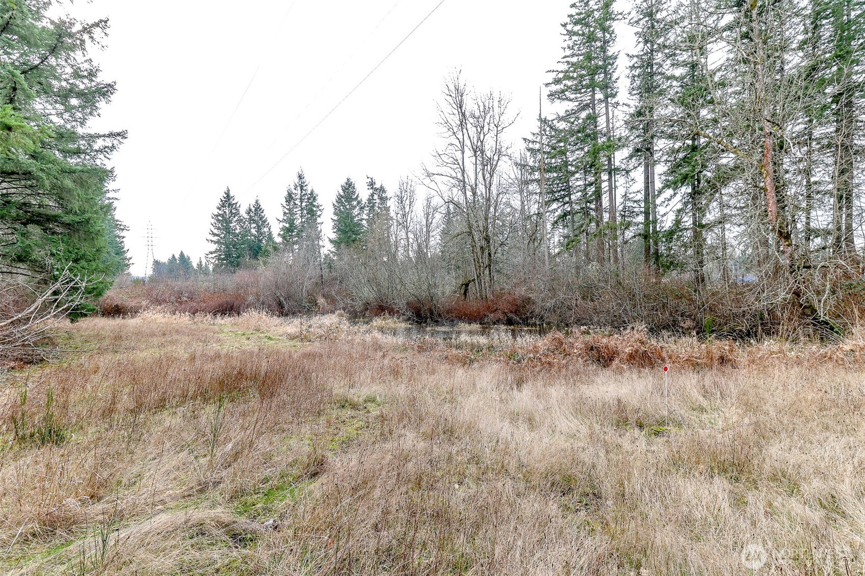 25414 48th Avenue E Graham WA 98338