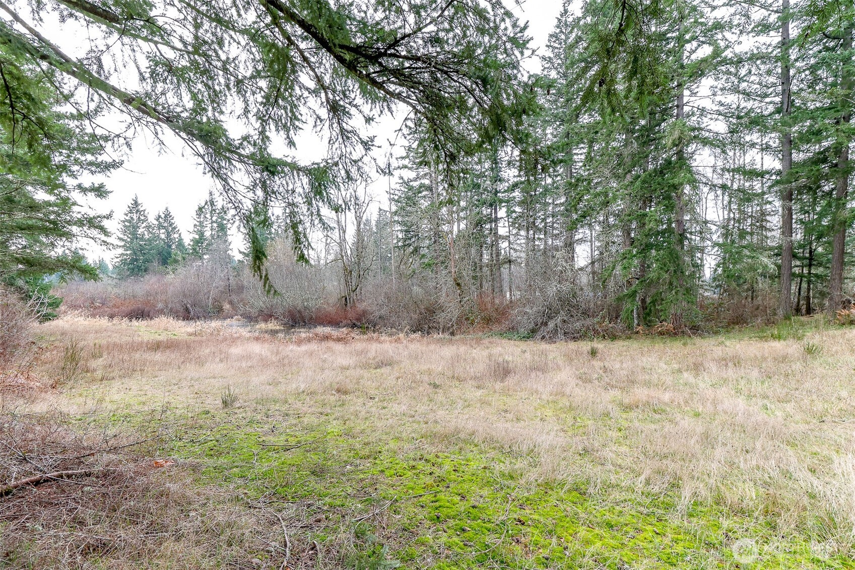 25414 48th Avenue E Graham WA 98338