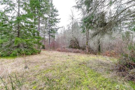 25414 48th Avenue E Graham WA 98338
