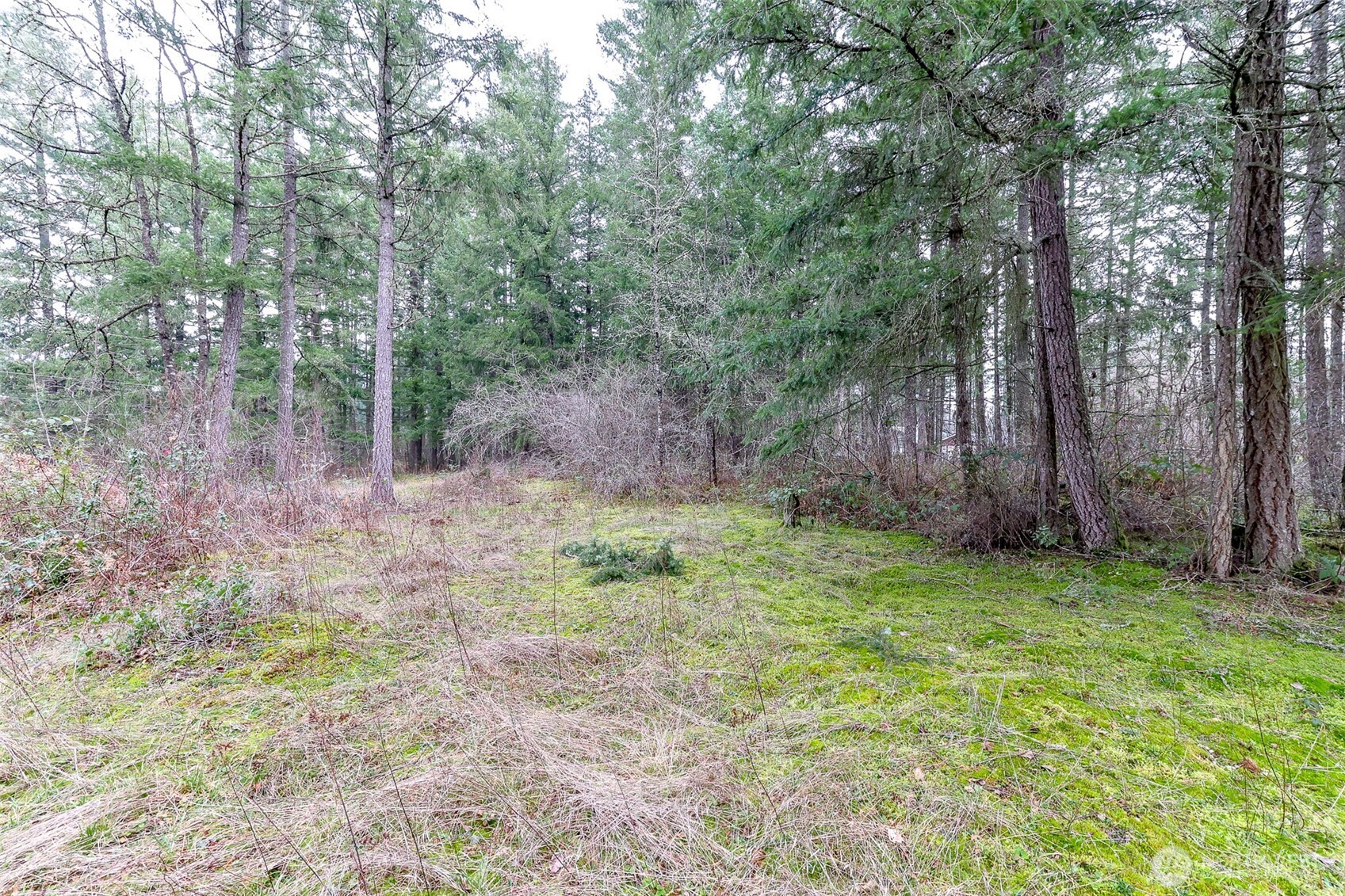 25414 48th Avenue E Graham WA 98338