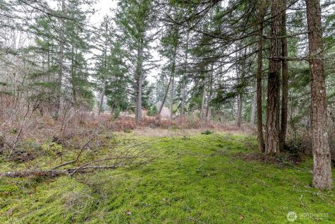 25414 48th Avenue E Graham WA 98338