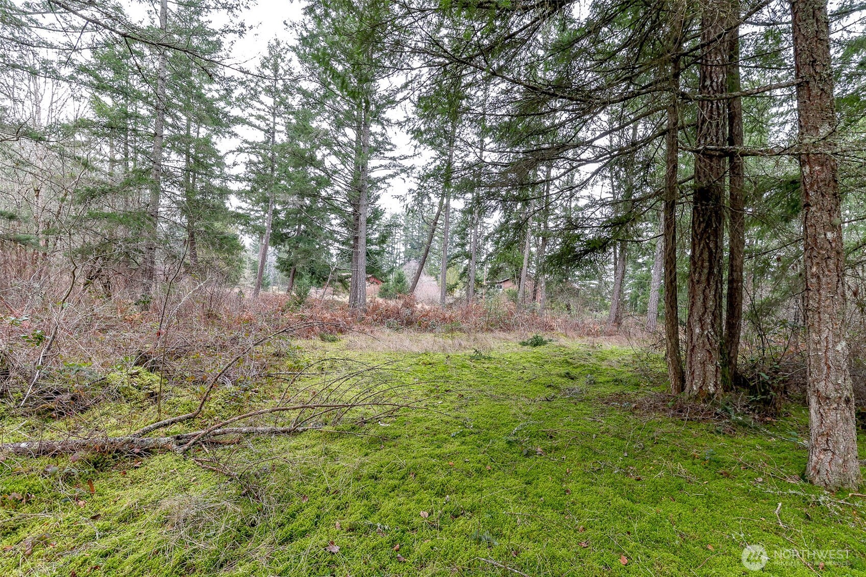 25414 48th Avenue E Graham WA 98338