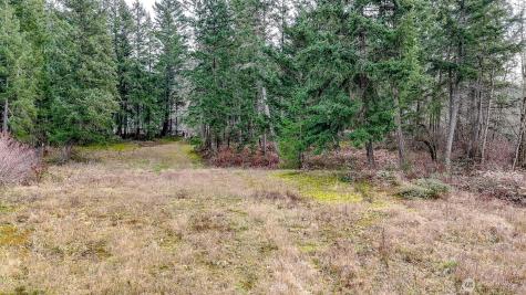 25414 48th Avenue E Graham WA 98338