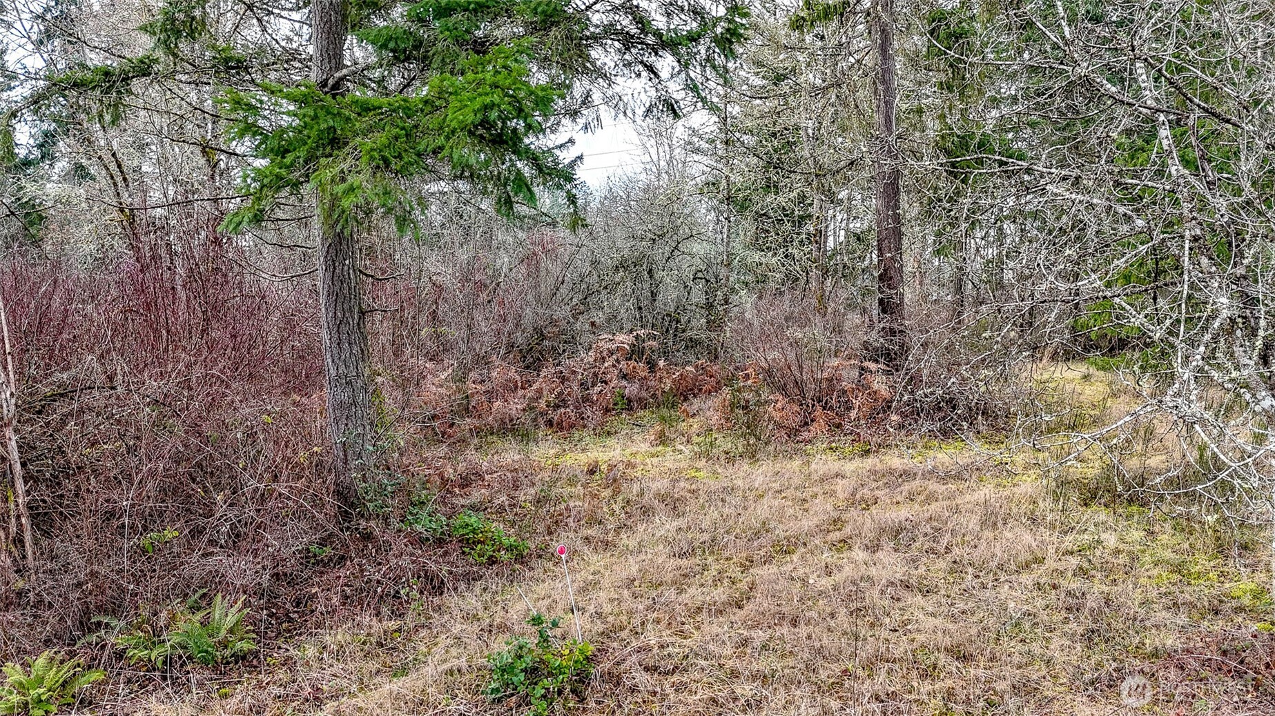 25414 48th Avenue E Graham WA 98338