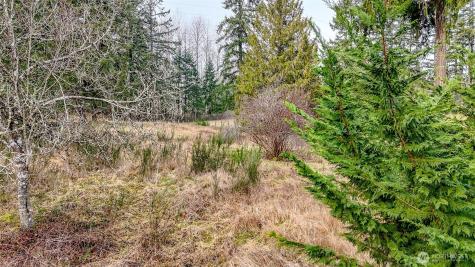 25414 48th Avenue E Graham WA 98338