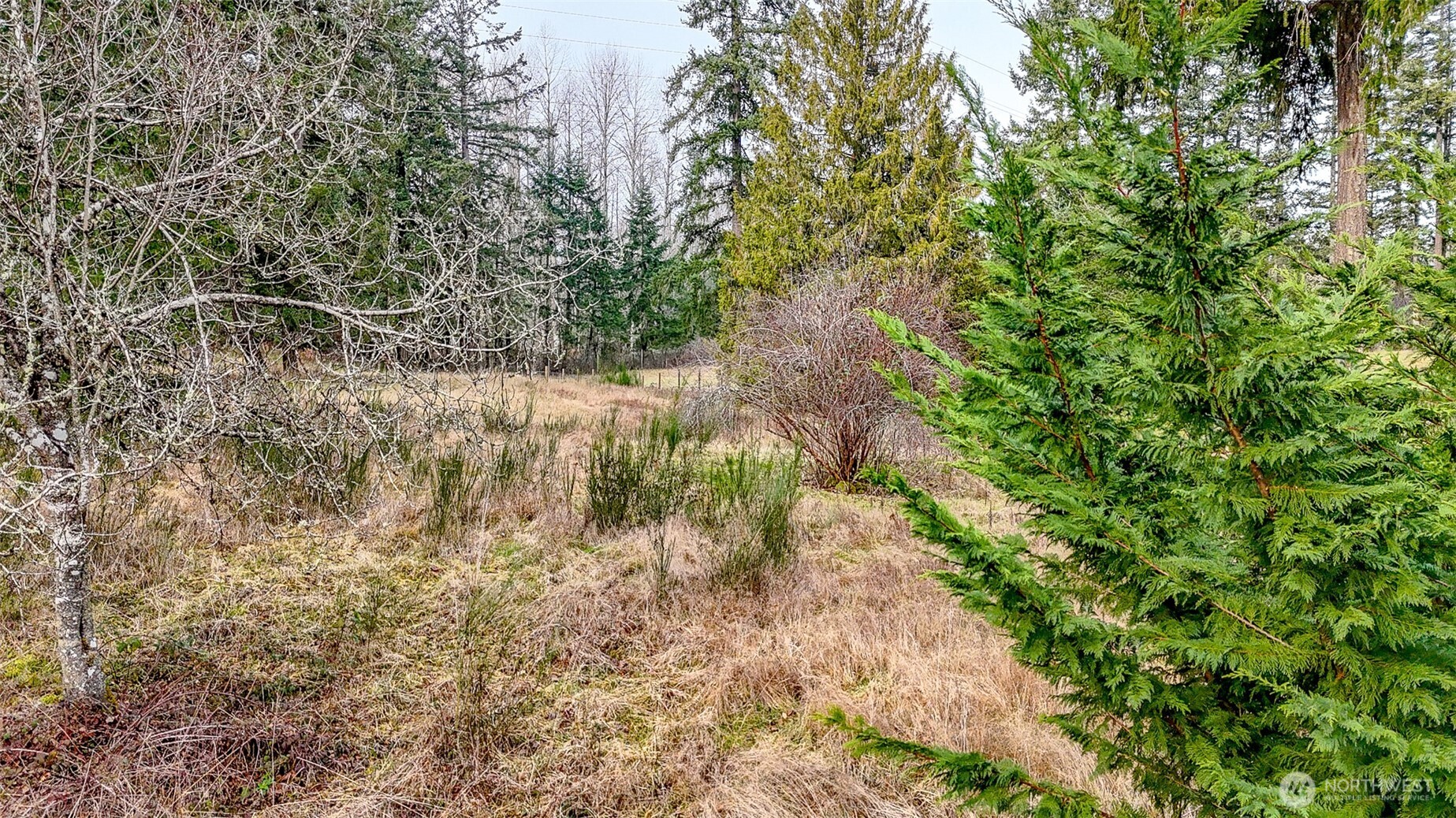 25414 48th Avenue E Graham WA 98338
