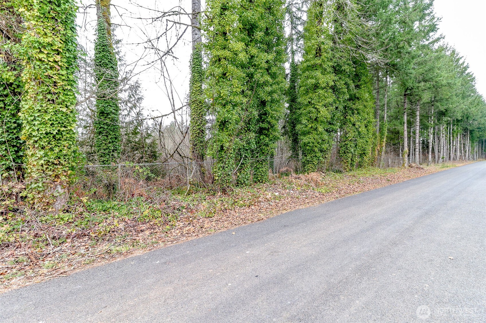 25414 48th Avenue E Graham WA 98338