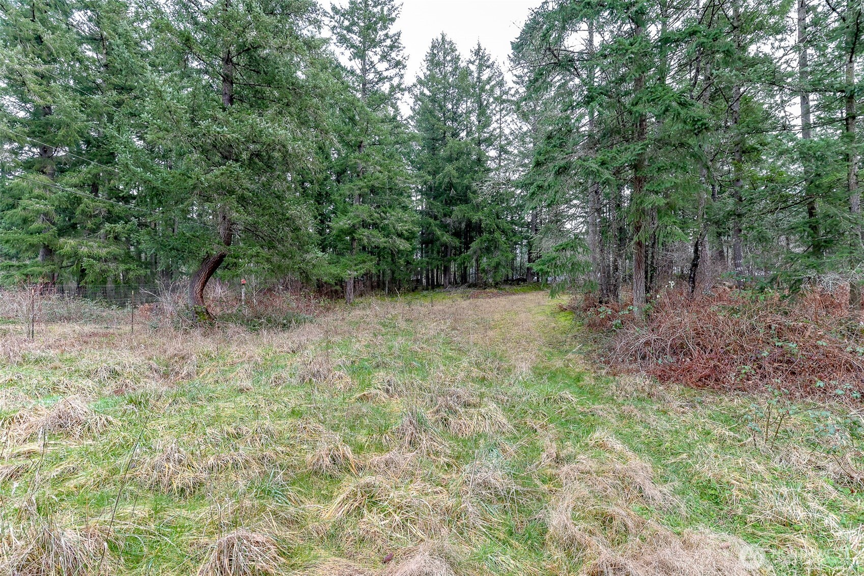 25414 48th Avenue E Graham WA 98338