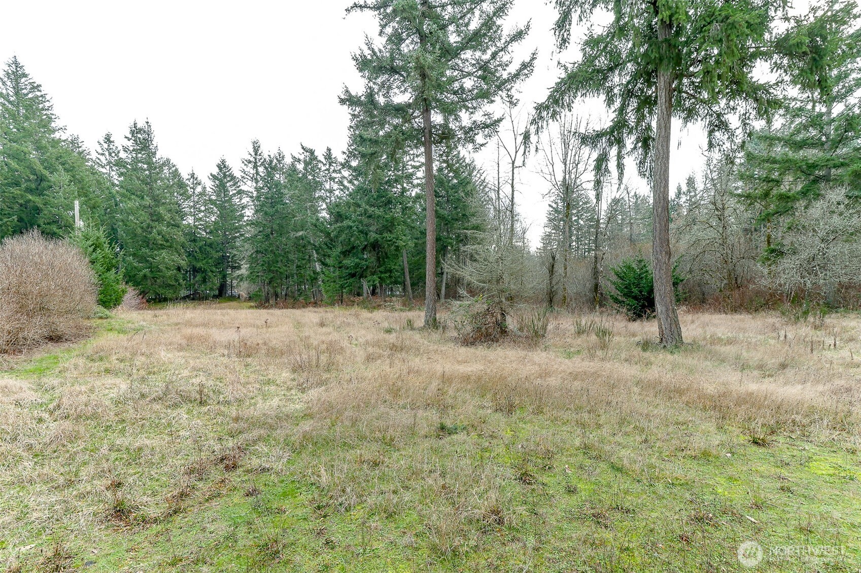 25414 48th Avenue E Graham WA 98338
