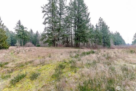 25414 48th Avenue E Graham WA 98338