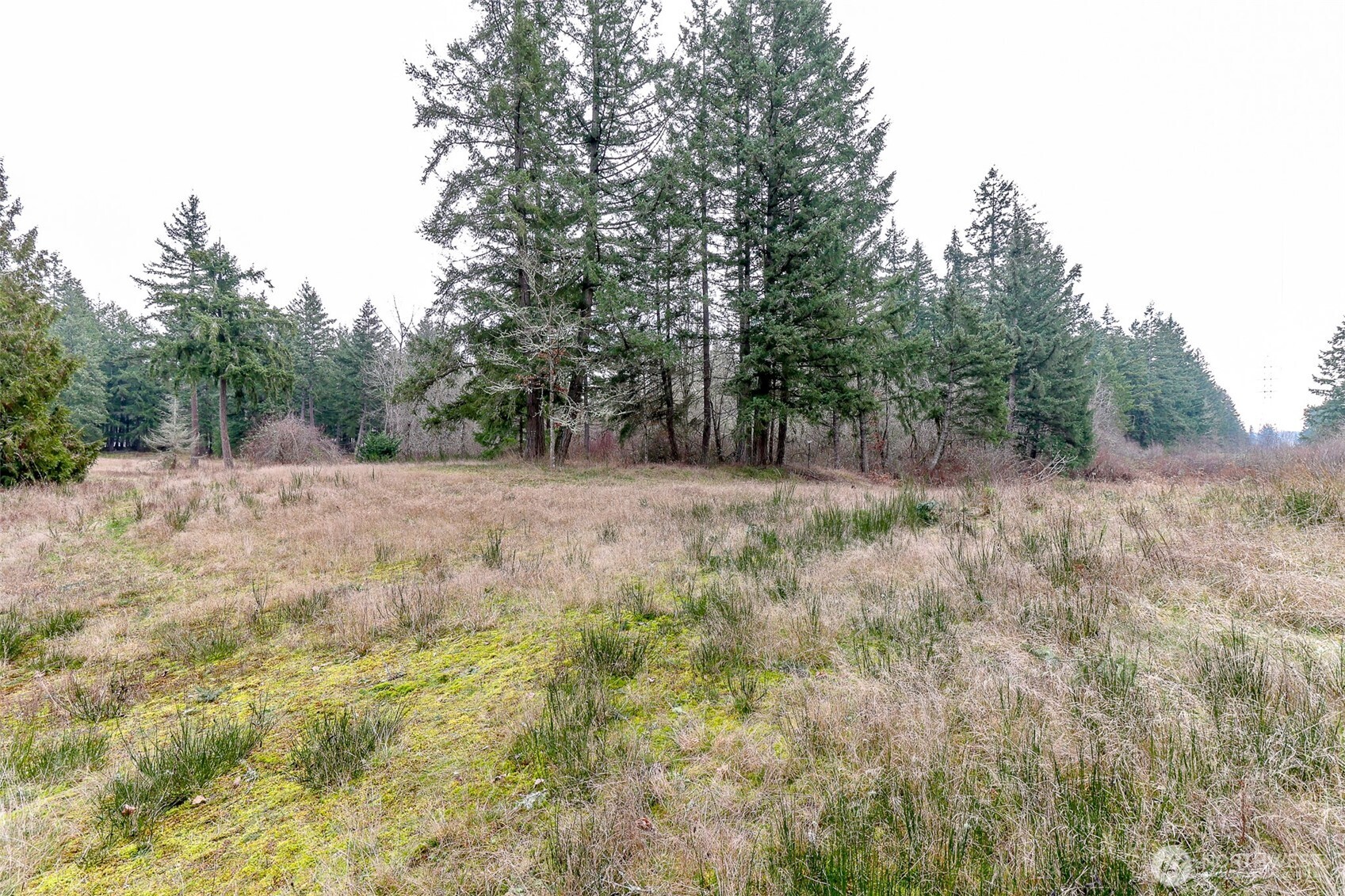 25414 48th Avenue E Graham WA 98338