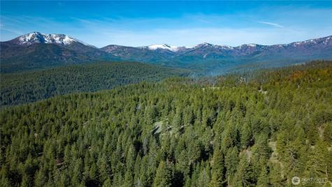 0 Tbd Mineral Hill Road Conconully WA 98819