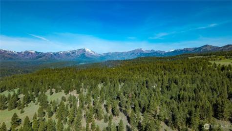 0 Tbd Mineral Hill Road Conconully WA 98819