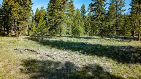 0 Tbd Mineral Hill Road Conconully WA 98819