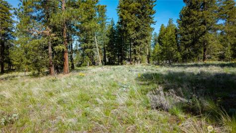 0 Tbd Mineral Hill Road Conconully WA 98819