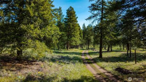 0 Tbd Mineral Hill Road Conconully WA 98819