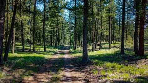 0 Tbd Mineral Hill Road Conconully WA 98819