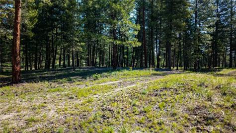 0 Tbd Mineral Hill Road Conconully WA 98819