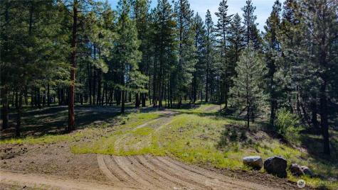 0 Tbd Mineral Hill Road Conconully WA 98819