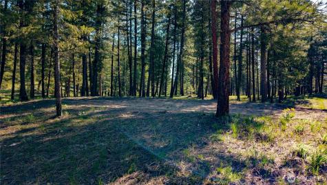 0 Tbd Mineral Hill Road Conconully WA 98819
